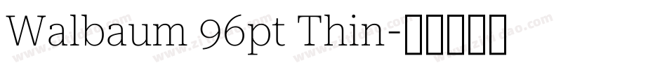 Walbaum 96pt Thin字体转换